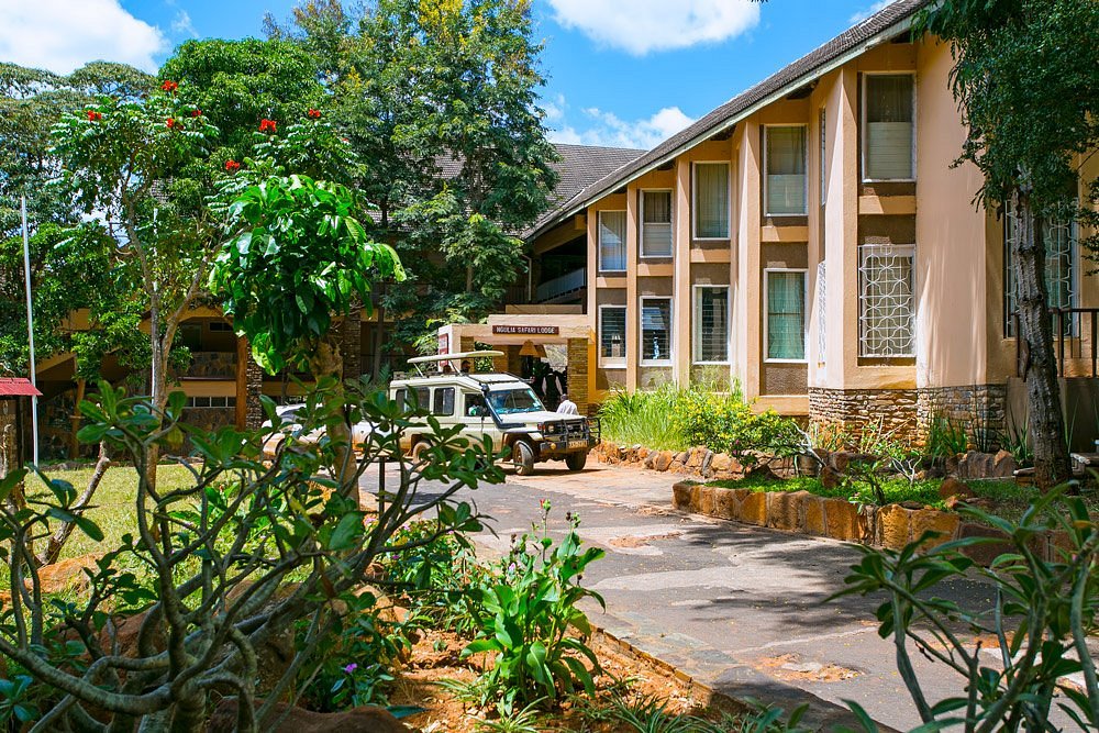 Ngulia Safari Lodge image 3