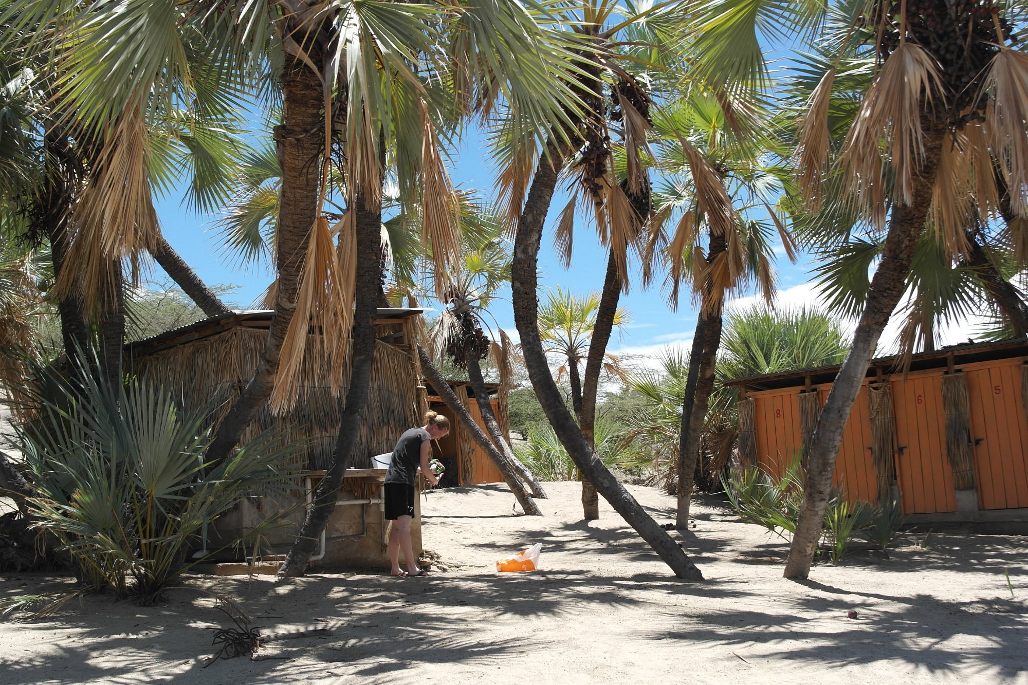 Eliye Springs image 1