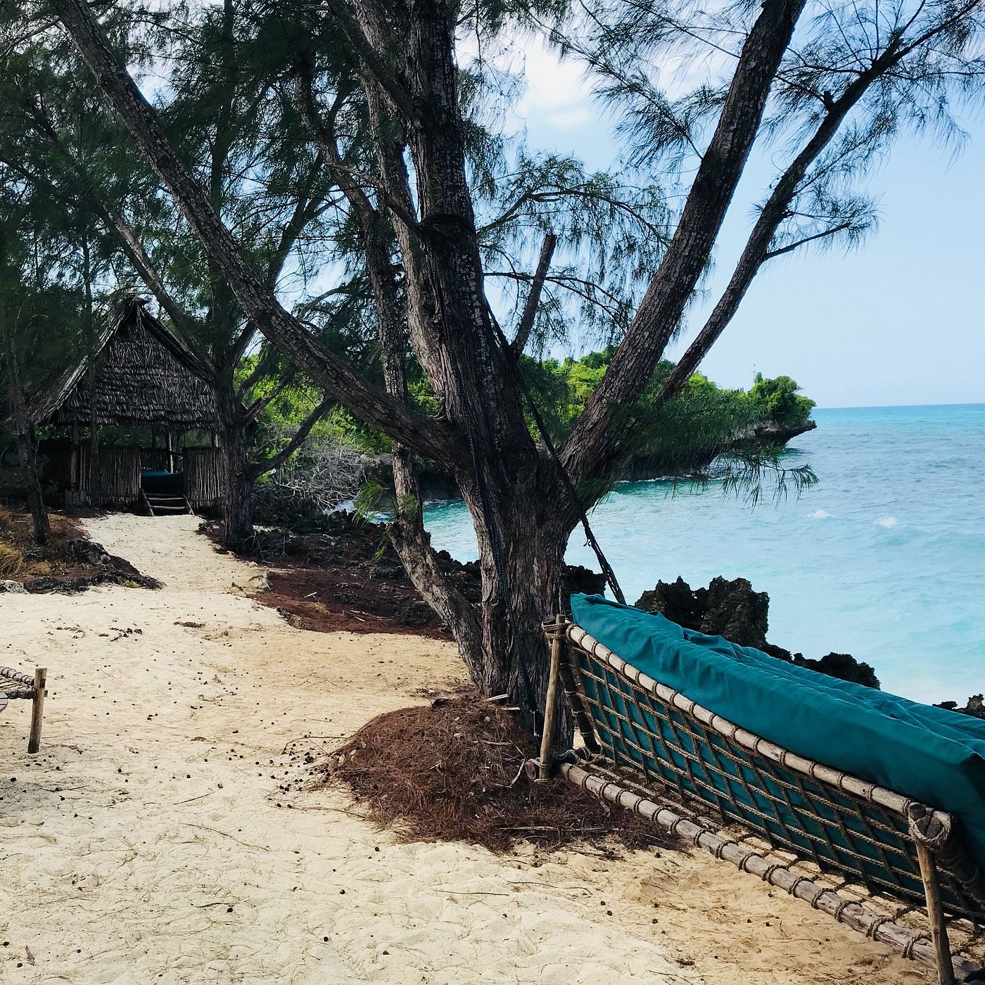 Chumbe Island Coral Park image 1