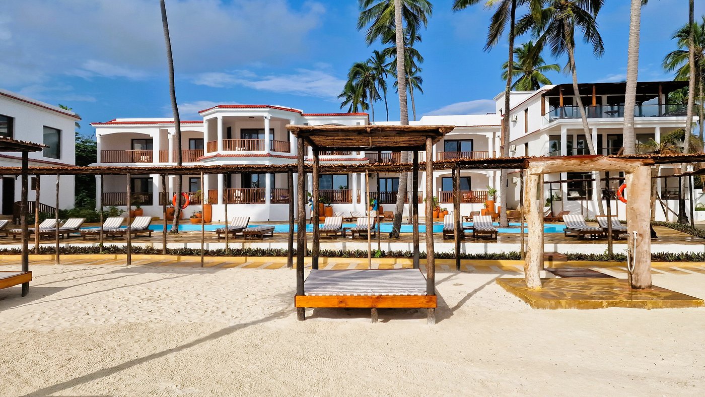 Dream Of Zanzibar image 3