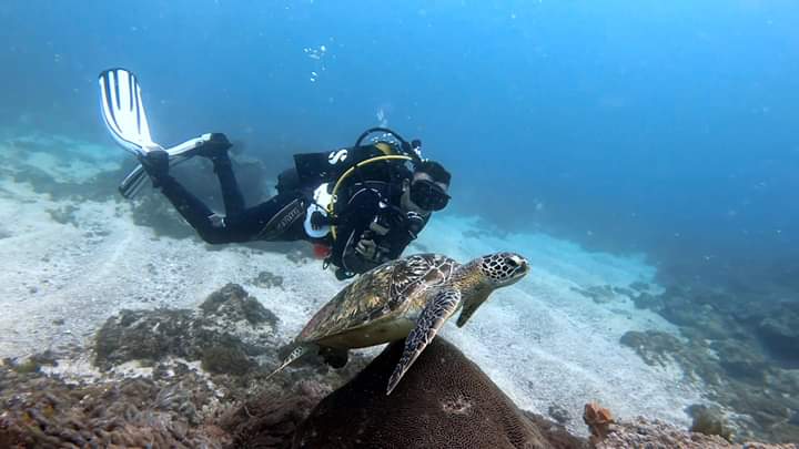 Malindi Marine National Park
