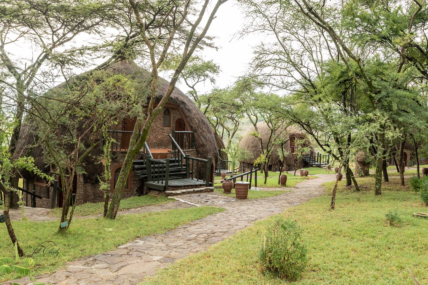 Serengeti Serena Safari Lodge image 2