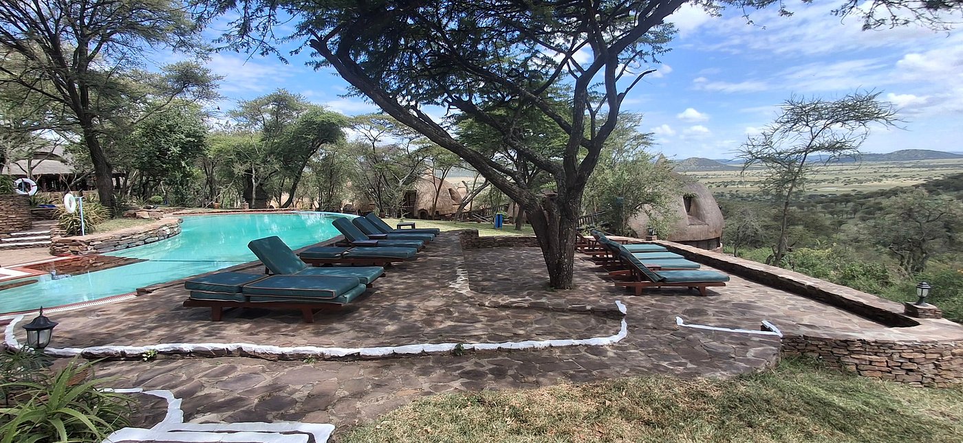Serengeti Serena Safari Lodge image 3