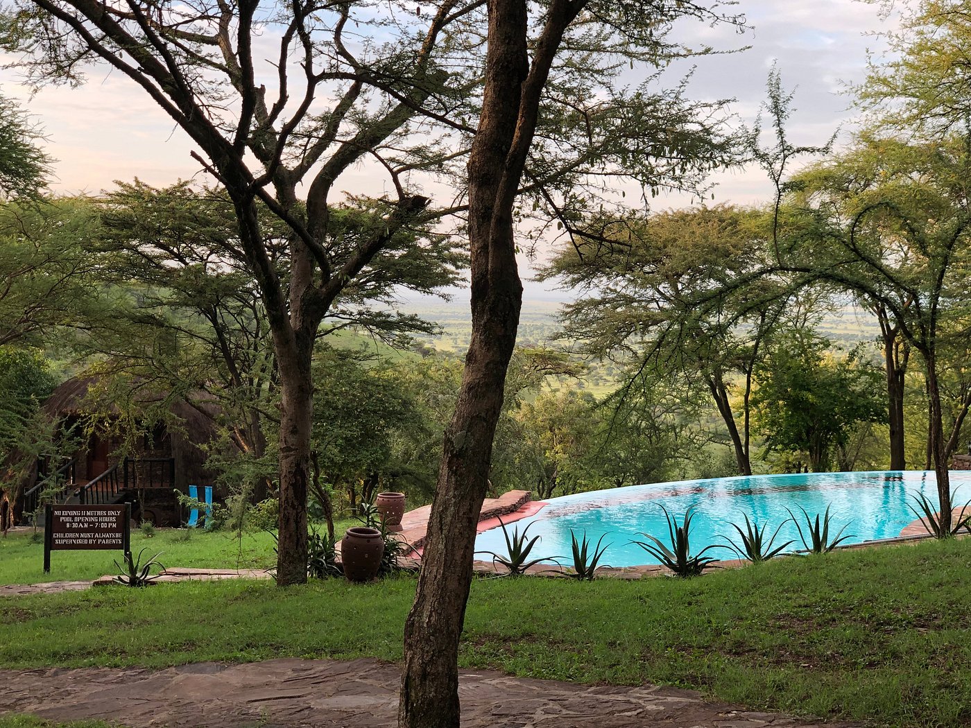 Serengeti Serena Safari Lodge image 1
