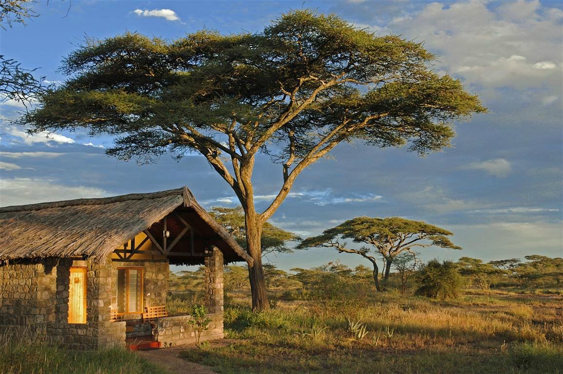 Ndutu Safari Lodge image 4