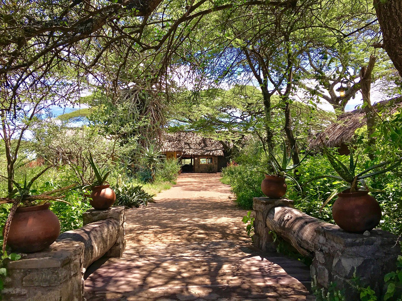 Ndutu Safari Lodge image 3
