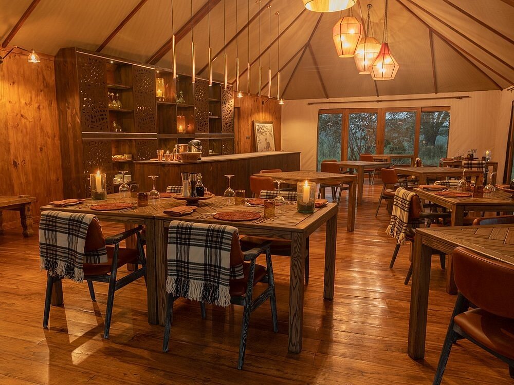 Sayari Camp image 4