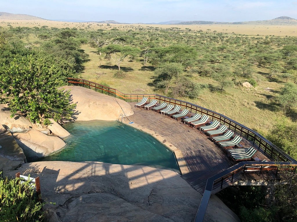 Seronera Wildlife Lodge image 5