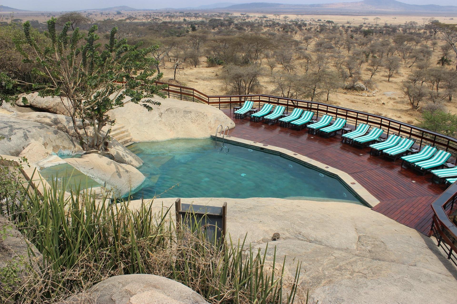 Seronera Wildlife Lodge image 4