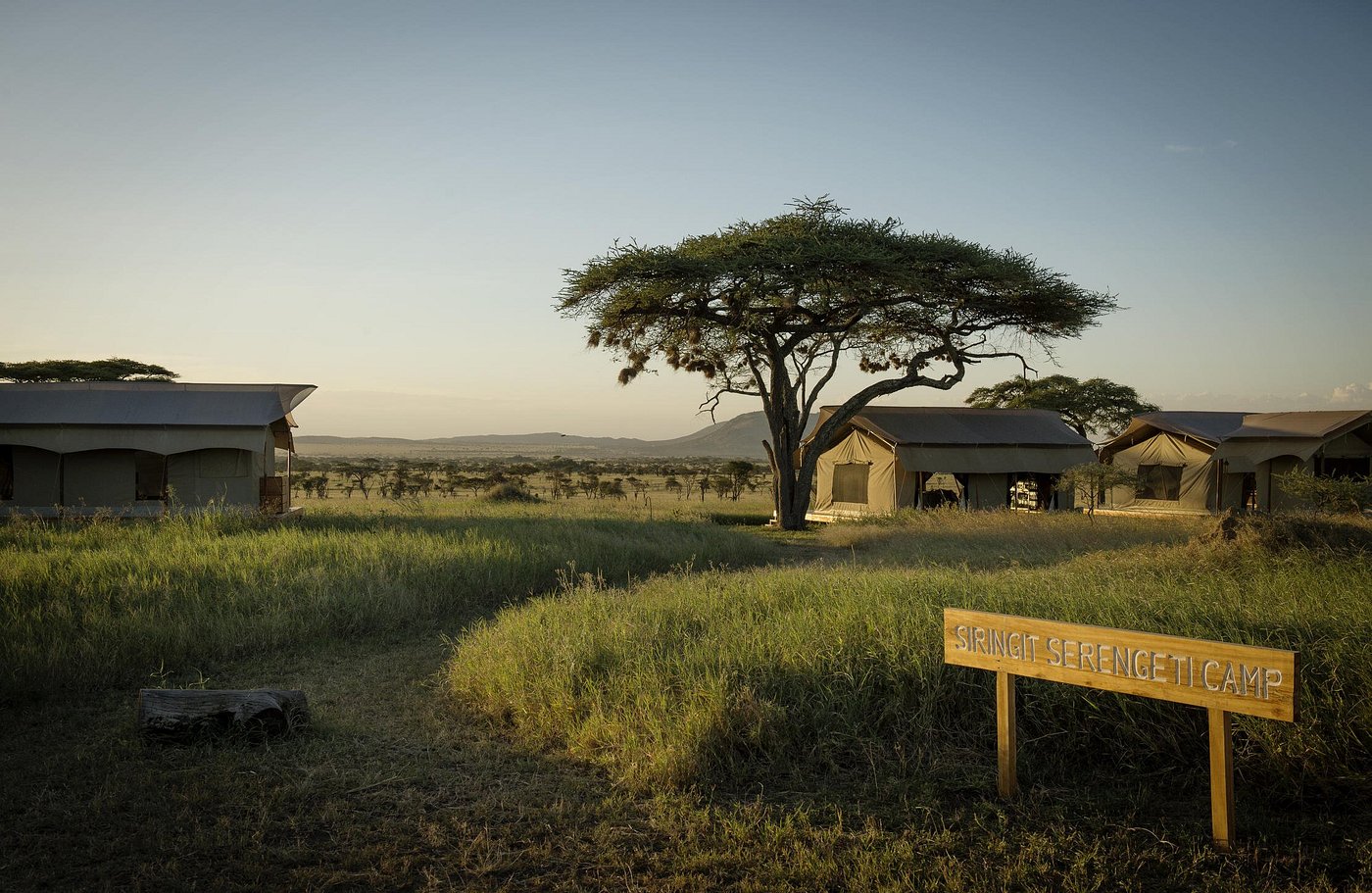 Siringit Serengeti Camp image 3
