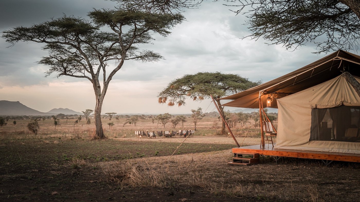 Siringit Serengeti Camp image 4
