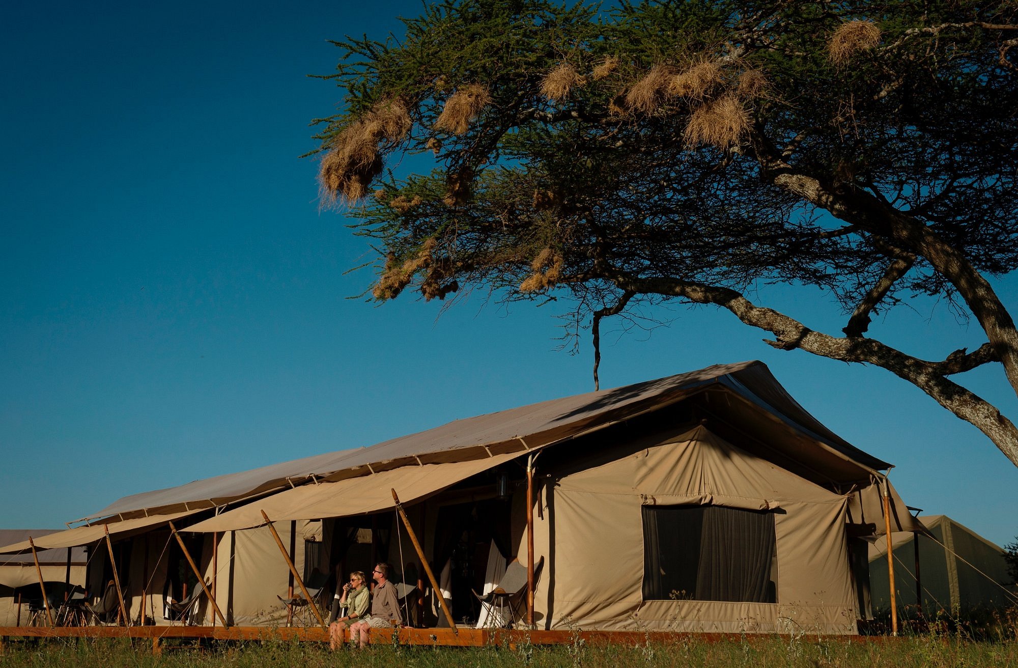 Siringit Serengeti Camp