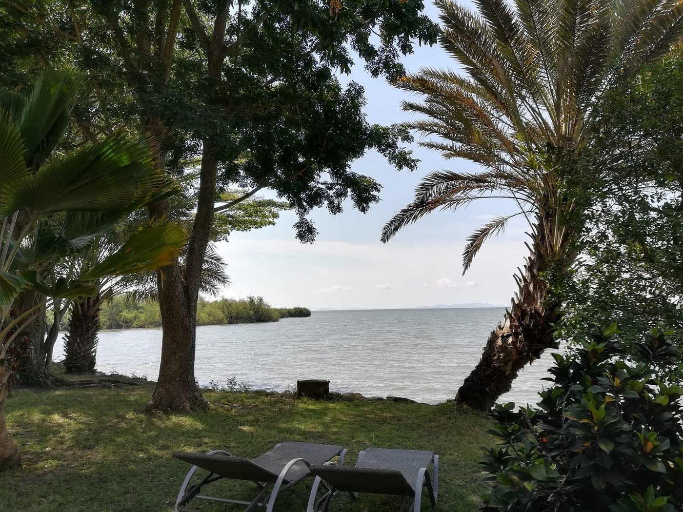 Speke Bay Lodge image 1