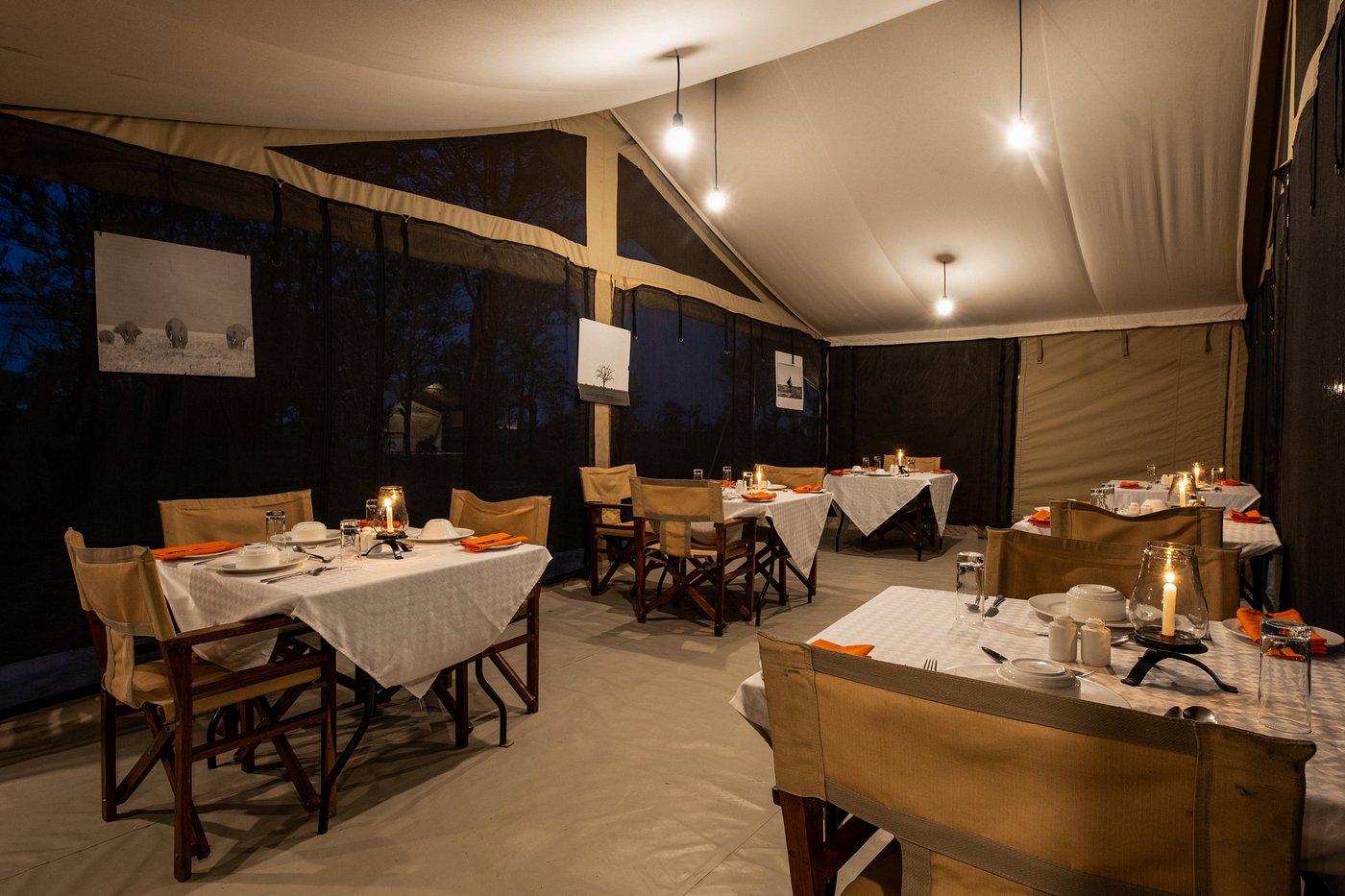 Serengeti Kati Kati Tented Camp image 3