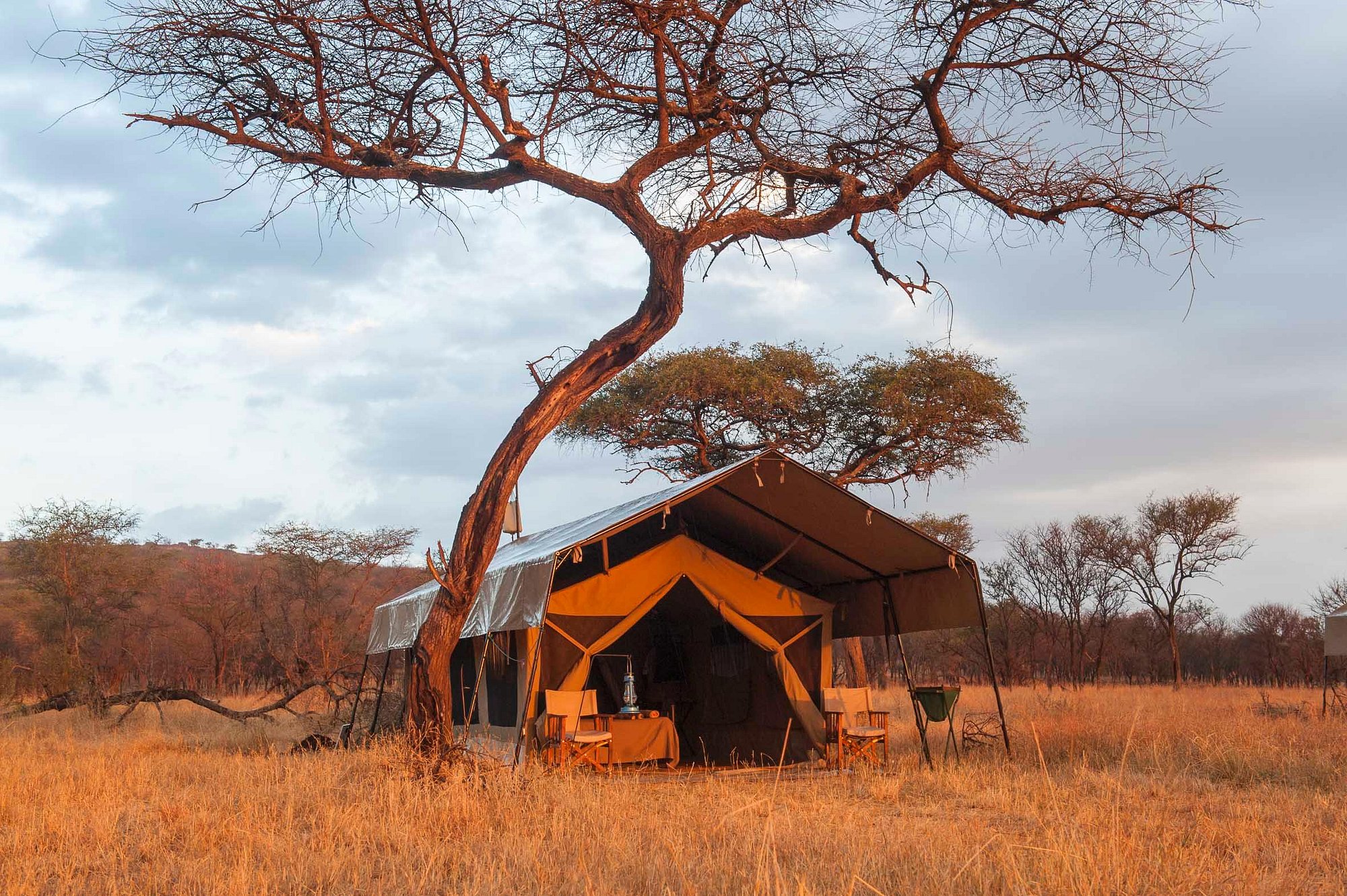 Serengeti Kati Kati Tented Camp image 1