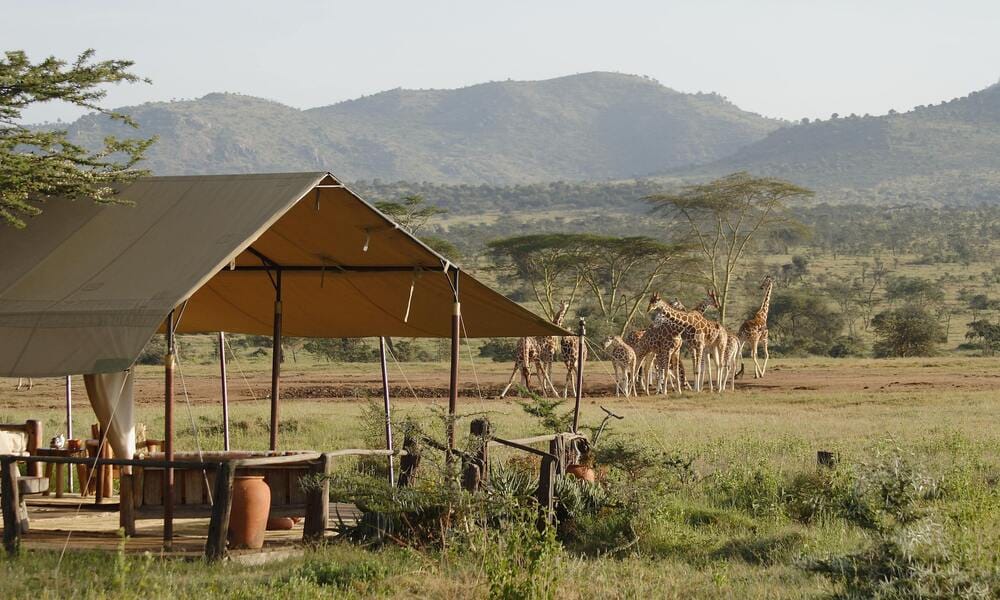 Kenya Camping Safari