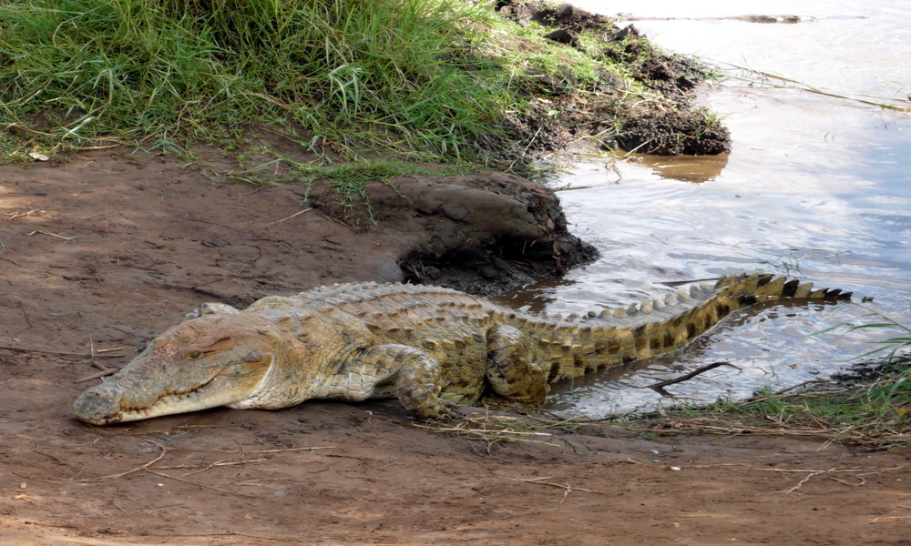 Tsavo National Park