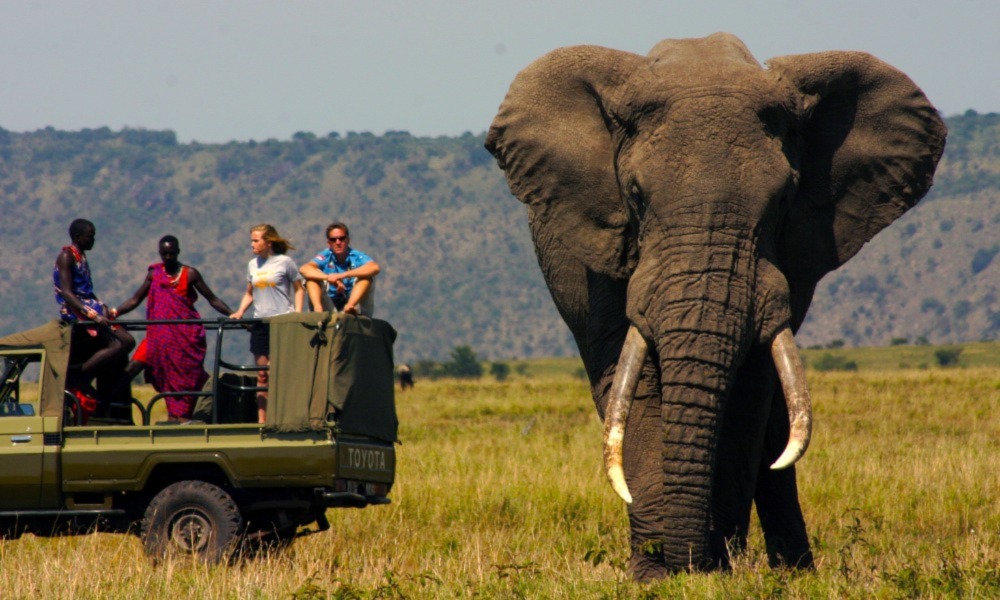 Kenya Safaris