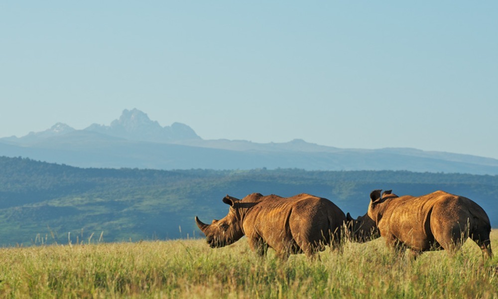 Mount Kenya National Park
