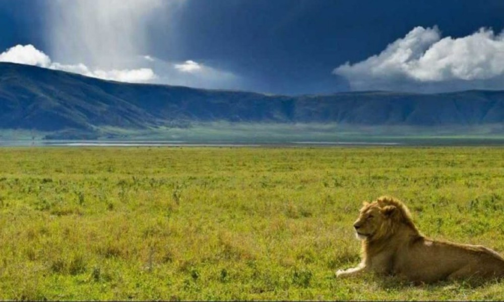 Ngorongoro Conservation Area