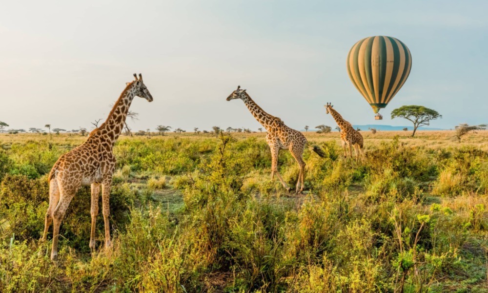 Serengeti National Park