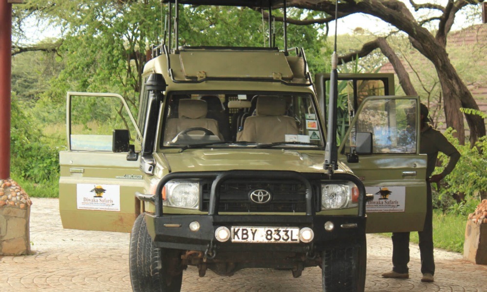 DIWAKA SAFARIS