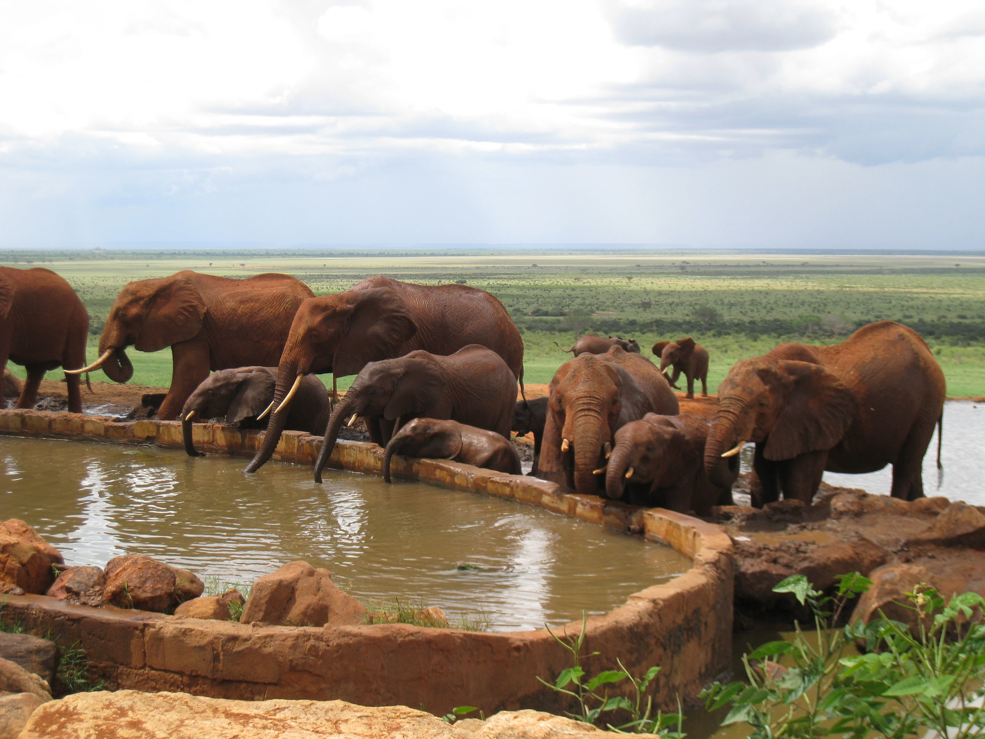 Tsavo East National Park image 4