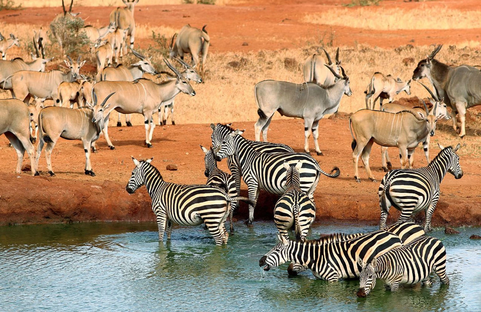 Tsavo East National Park image 5