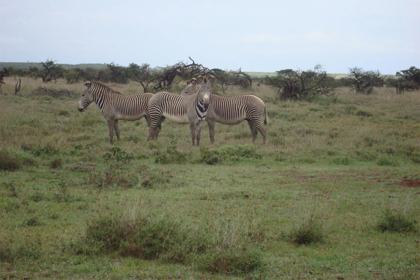 Laikipia image 3