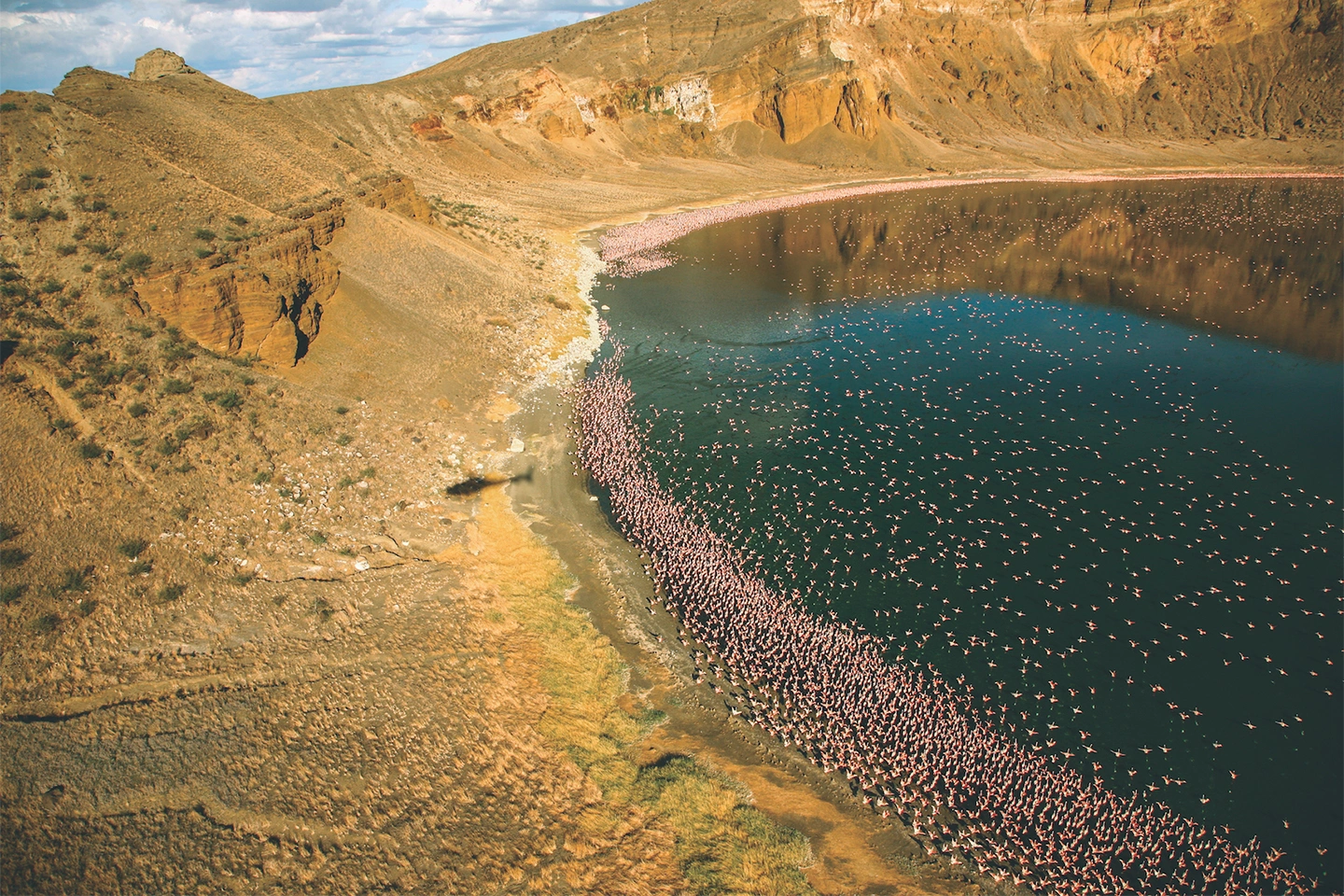 Lake Turkana image 4