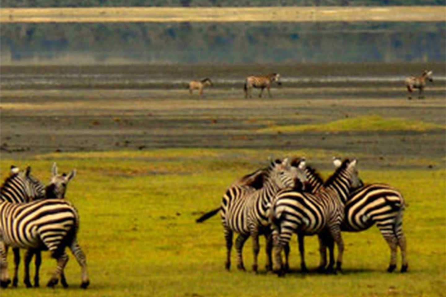 Ngorongoro Crater image 2