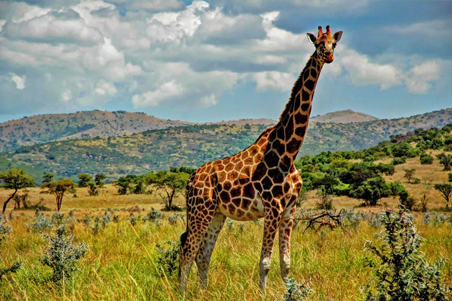 Ruma National Park image 2