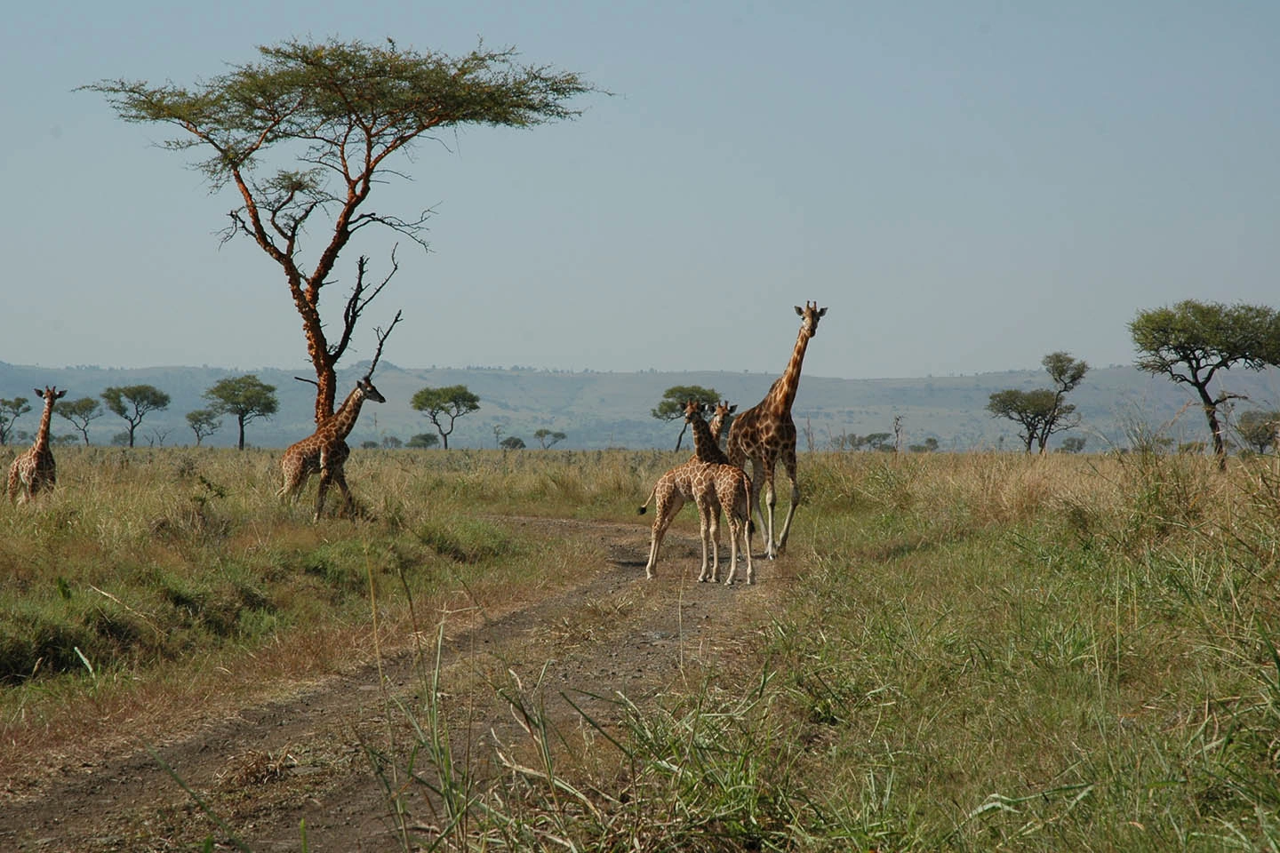 Ruma National Park image 3