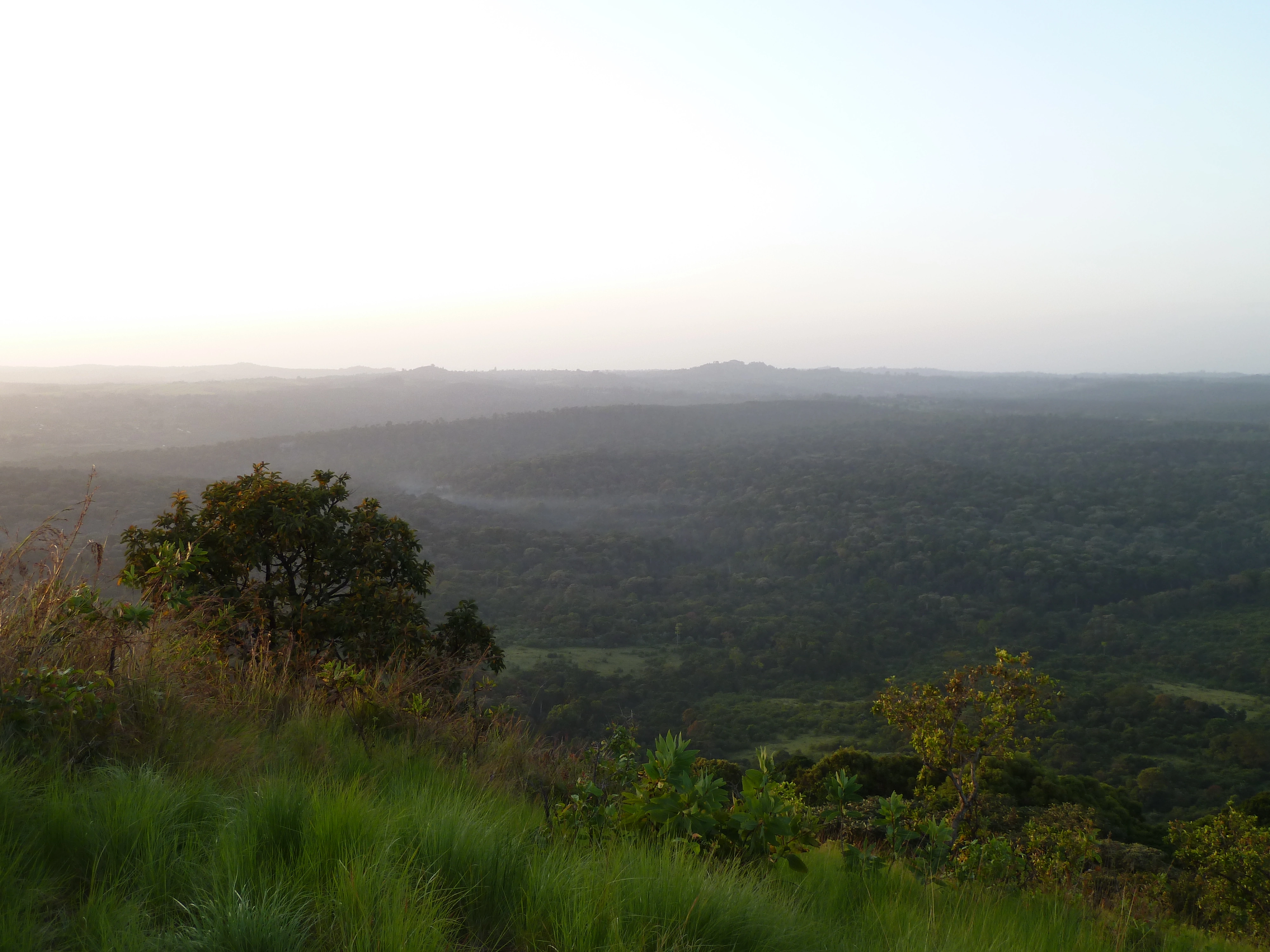 Kakamega Forest National Reserve image 4