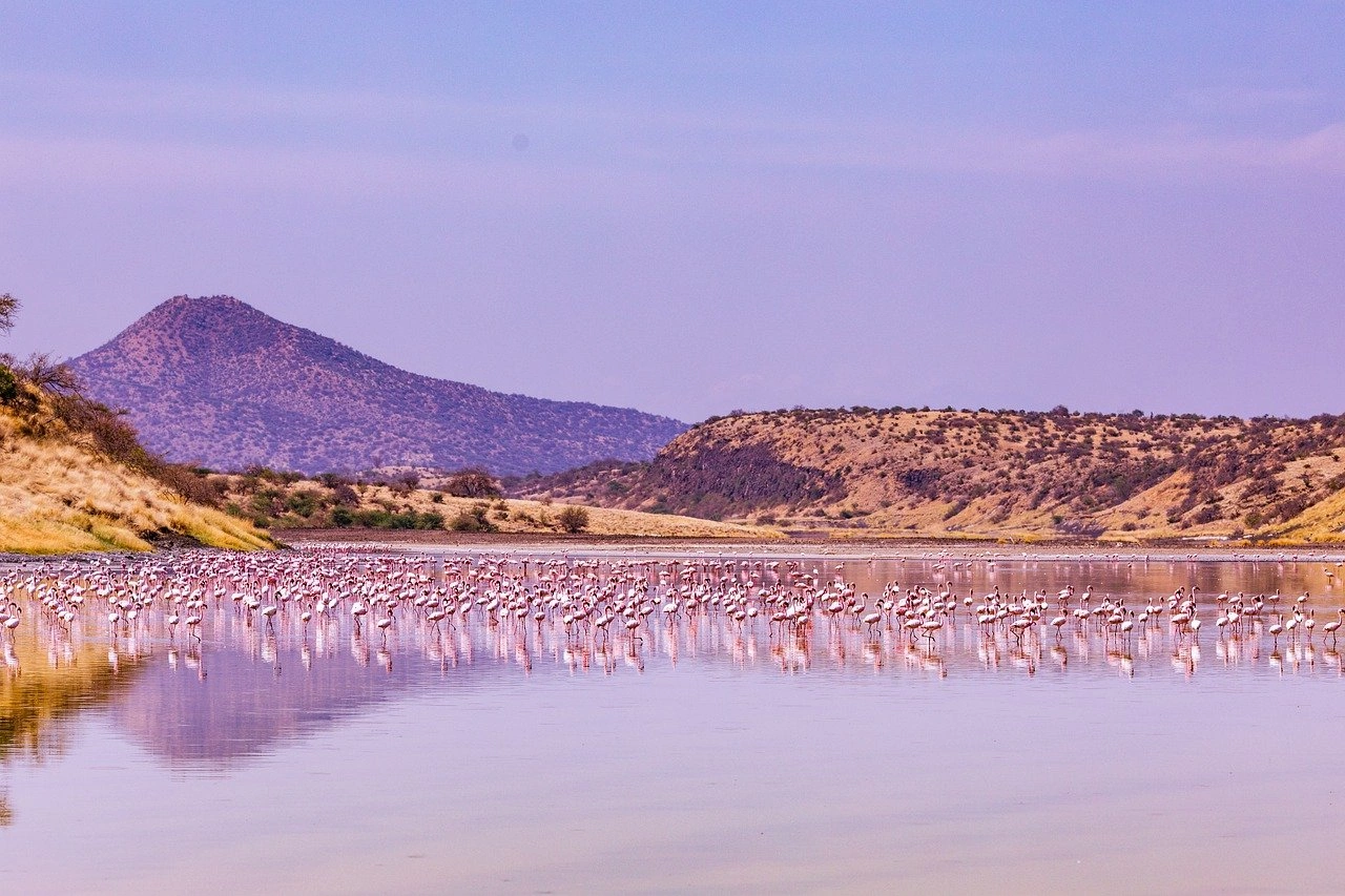 Lake Magadi image 4