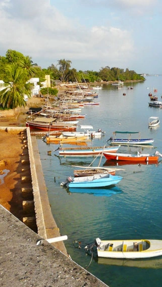 Lamu image 2