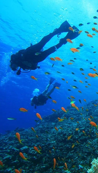 Malindi Marine National Park image 2