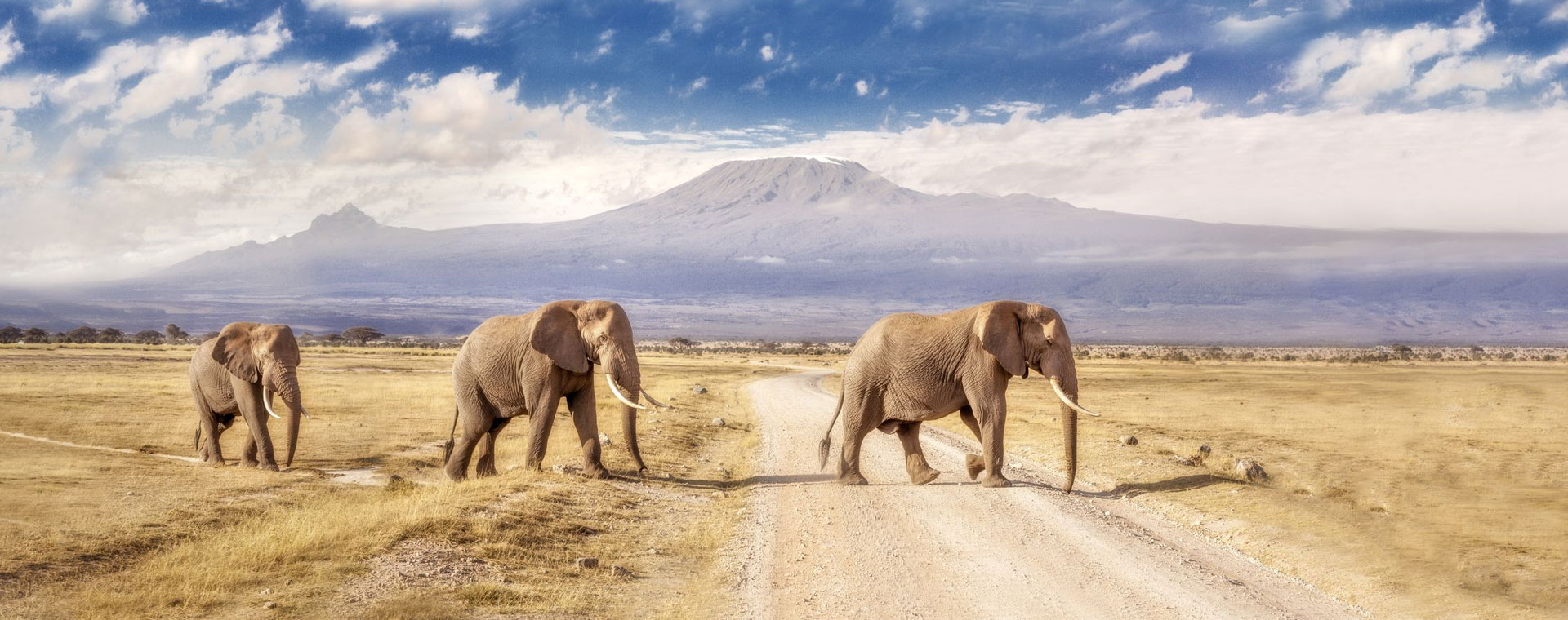 Amboseli National Park image 2